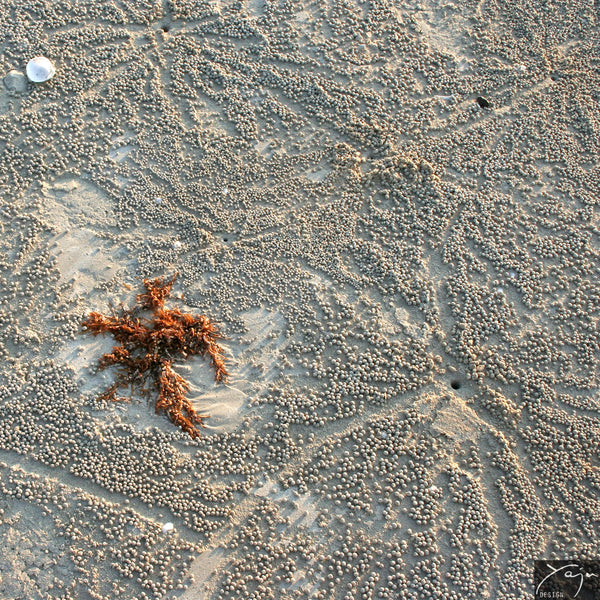 'Cable Beach Sand Creations' - Necklace No.25